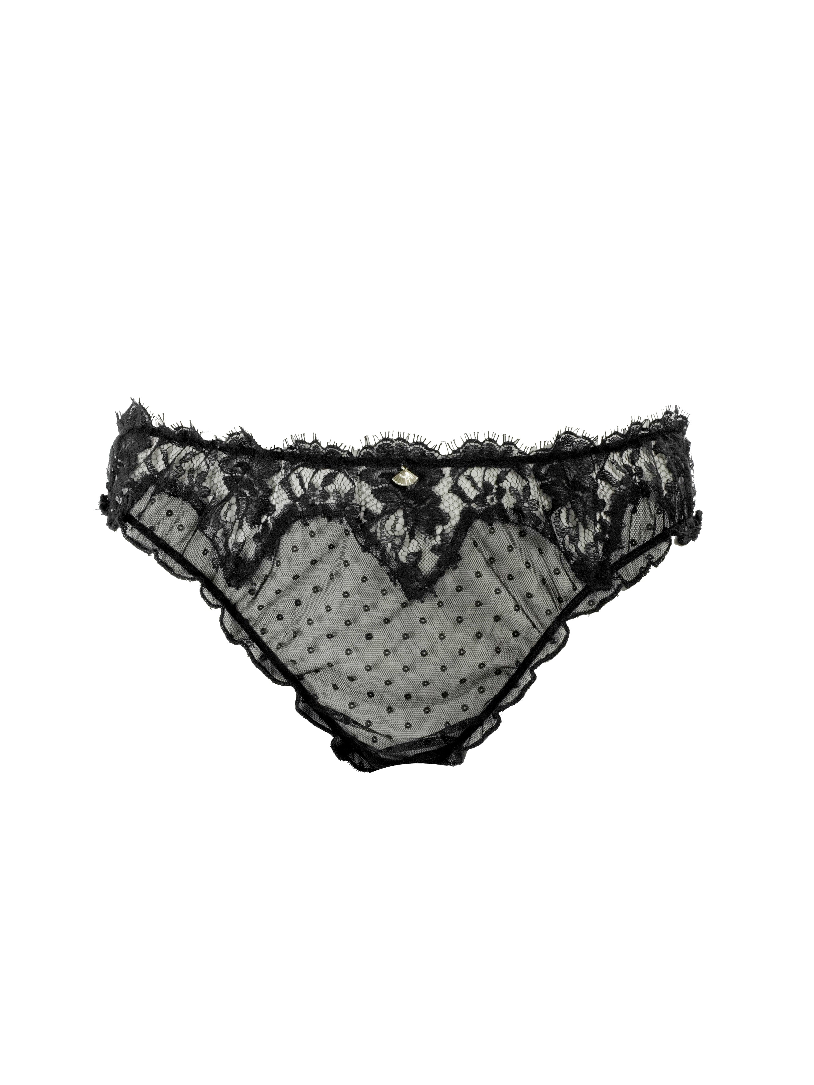 Weekend Nut Shell Weekend 3 Pack Brief – Shell Belle Couture