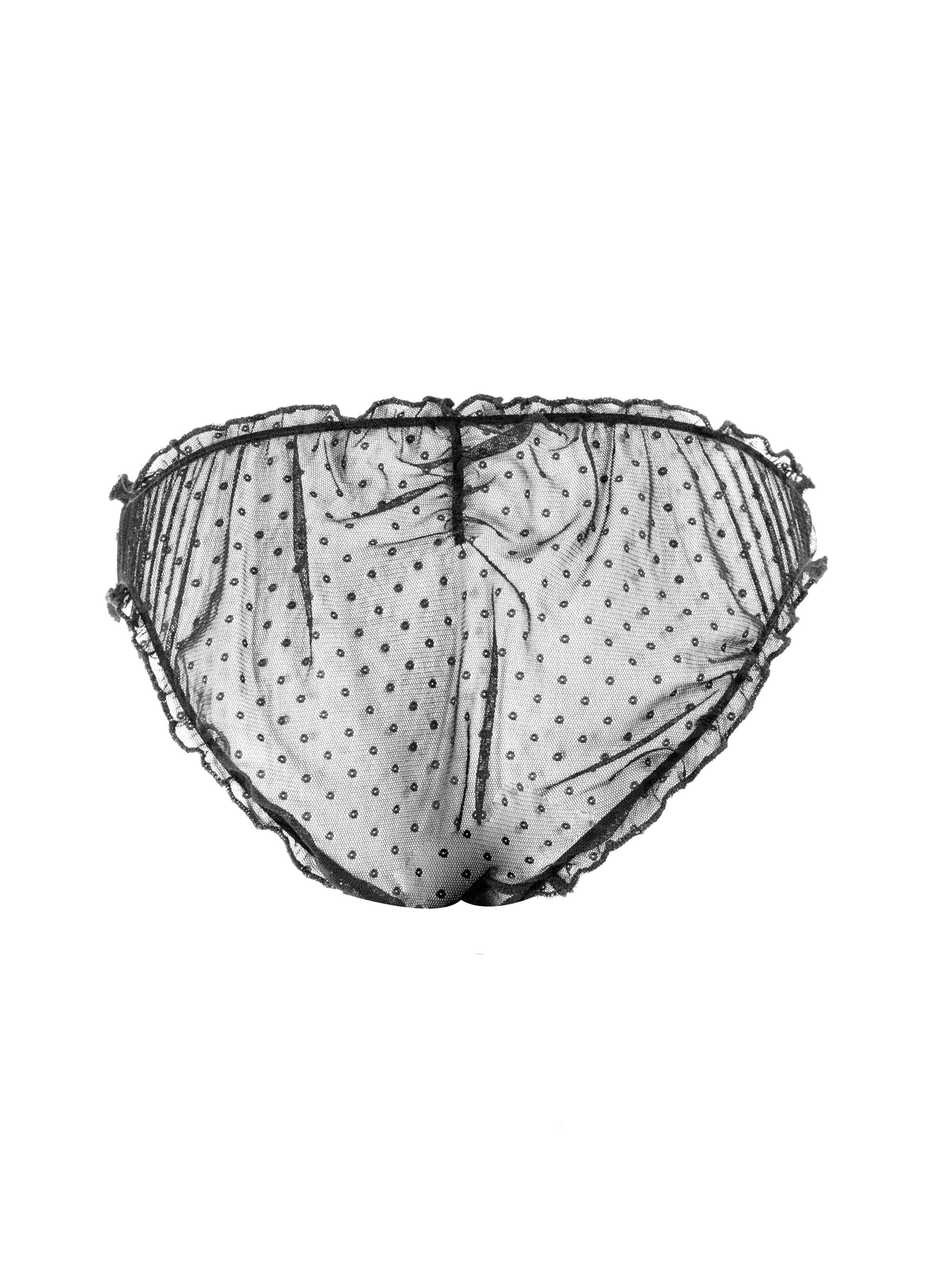 Weekend Nut Shell Weekend 3 Pack Brief – Shell Belle Couture